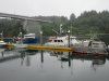 Notice no boats have shorepower....obviously something wrong with the dock!!