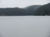 IMG_6017