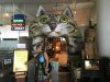 Cat Museum