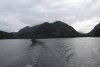 IMG_0110