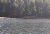 We took a dinghy tour up the river.....many seals resting!!