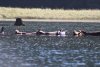 IMG_9861