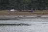 IMG_9931