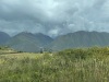 IMG_7501