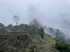 IMG_7702