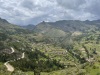 IMG_7442