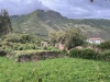 A walk in the local farmlands!