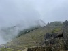 IMG_7685