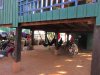 People living under their house to stay cool