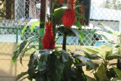 Mekong Delta Vietnam