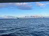 The next day at Brown Bluff after the storm on March 23....our last day in Antarctica:(((