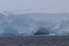 Some calving on the glaciers....we heard a few but did not witness!!