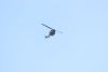 Soem helicopter flew over...we never found out who it was???