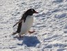 IMG_6156