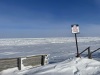 In Oct-Nov polar bears return from the ice flow and are plentiful in Churchill