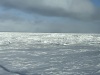 IMG_6459
