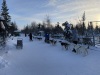 We did a short ~1 mile sled dog ride....pretty cool!!!