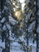 IMG_8908