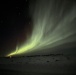 nl116_02_14_25_clare-schmitt_487682