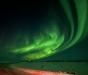 nl116_02_14_25_clare-schmitt_487685