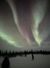 nl116_02_14_25_clare-schmitt_487748