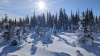 nl116_02_14_25_jocelyn-mclean_477557