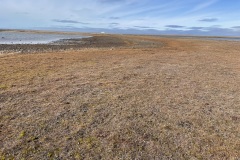 Northwest Passage 2025