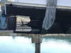 IMG_5580