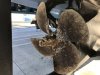 A few barnacles on the prop but after 2+ years the PropSpeed is in good shape