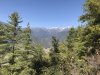 IMG_3015