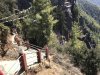 Straight down...then up!!