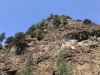 The cliff is almost sraight up!!