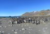 IMG_3336