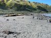 IMG_3342