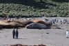 The two penguins were a bit perturbed with all the commotion!!!