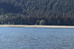 Peril Strait to Sitka