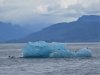 Seabirds on a huge iceberg in the middle of Stephen's Passage