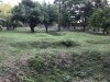 Many of the mass graves