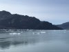 IMG_2585