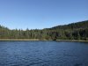 IMG_2631