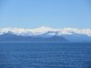 IMG_6582