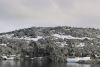 We saw over 1,000 Adelie penguins on this zodiac cruise...they were everywhere!!