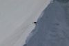 Lone bird on a ridge very high up