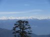 IMG_1054