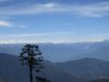 IMG_1065