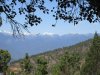 IMG_1103