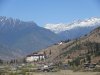 IMG_1174