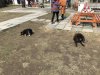 Happy dogs with Kathy again:))))