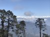 IMG_2946