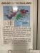 Information on the Falklands!